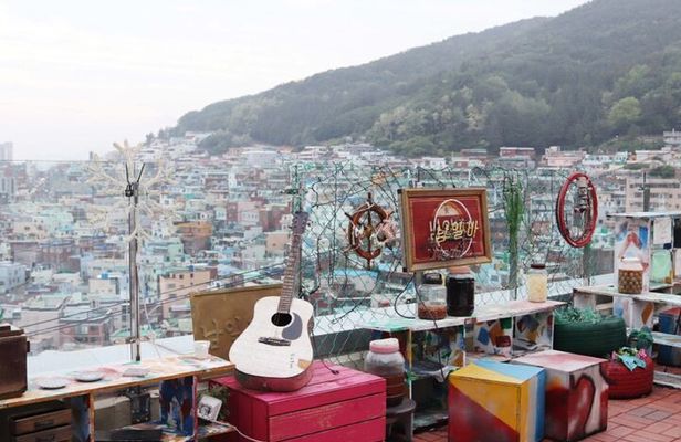 The Busan Forest and Coastal Private Tour