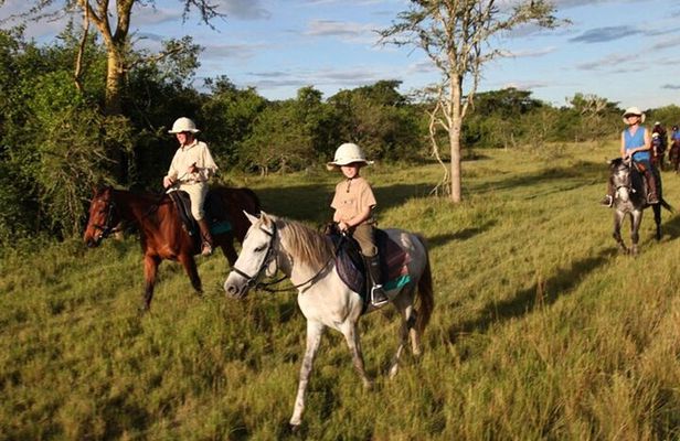 Alanya Horse Riding Experience