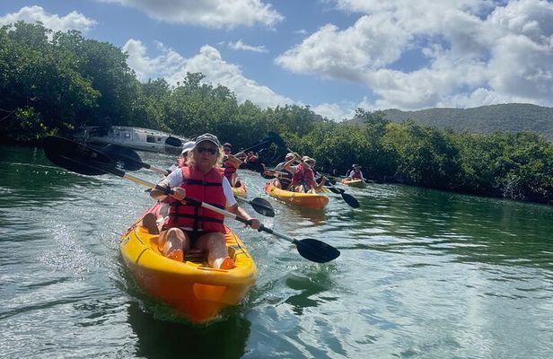 Mangrove Board Walk and Kayaking Tour