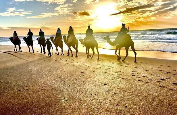 Discover Tangier: Cap Spartel and Hercules Cave with Camel Ride