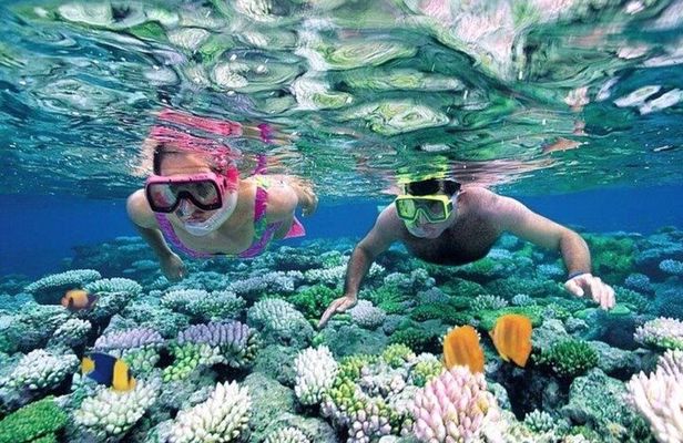 Bali Snorkeling at Blue Lagoon and Tanjung Jepun with Transfer