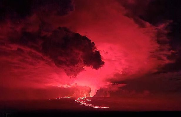 Private: Hawaii Volcanoes, Waterfalls, Beaches & Hilo Highlights