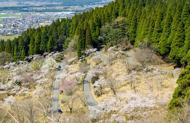 Day Tour to Miyazaki Takachiho Gorge & Shrine depart from Fukuoka