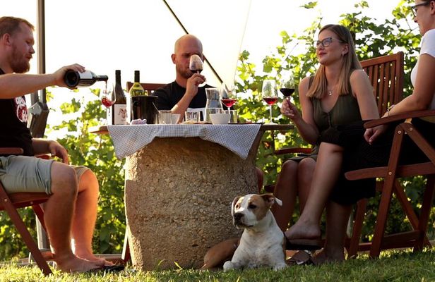Private Wine Tastings in Sentjernej Slovenia