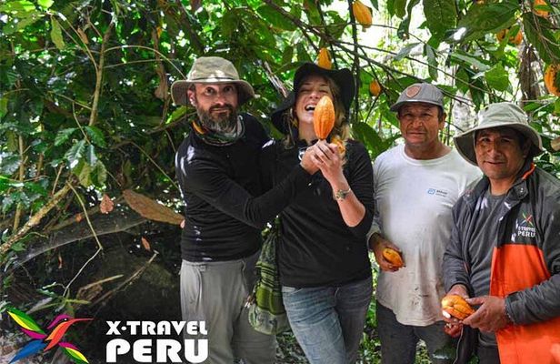 A Journey of Coffee, Tea and Chocolate Flavors in the Landscape of Cusco 