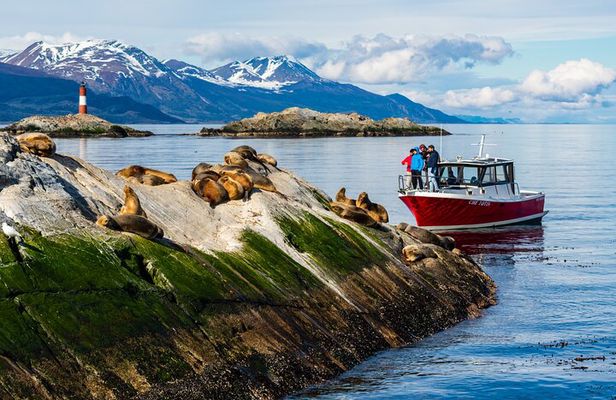Beagle Canal Tour with Small Group Hiking