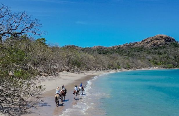 Horseback Riding - 1 hour 30 minutes Guided Tour