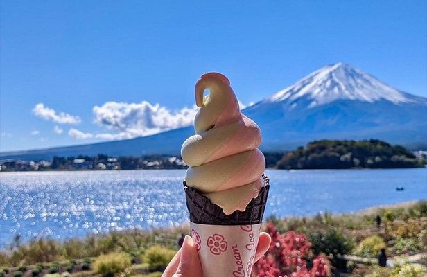 From Tokyo: Mount Fuji Full Day Private Tour with English Guide