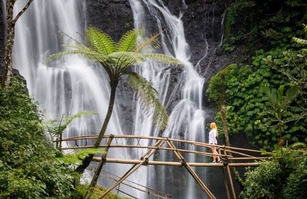 North Bali : Sekumpul and Banyumala Waterfall & Rice Terraces
