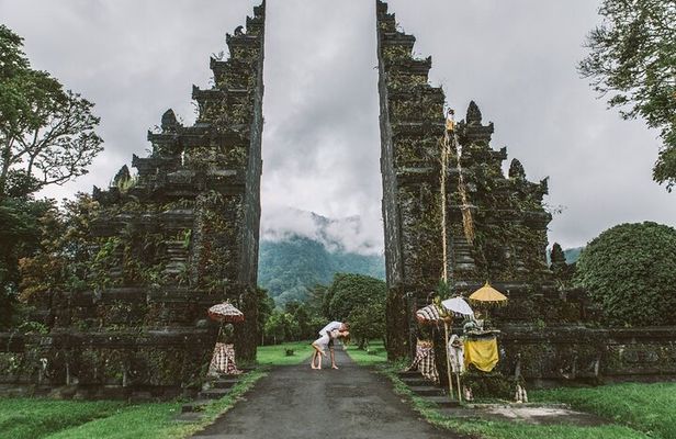Ultimate Bali | Privately Guided Insta Tour with Driver / Guide