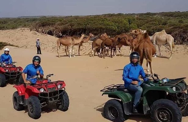 Essaouira: Quad tours (free transfer)