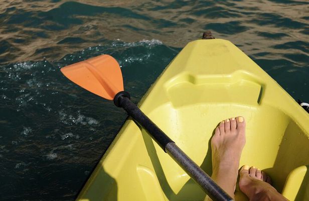 Doha Mangrove Kayaking Al Thakira & Purple Island With Transfer