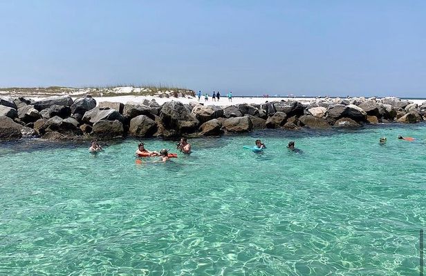Shell Island Dolphin and Snorkel Boat Tour