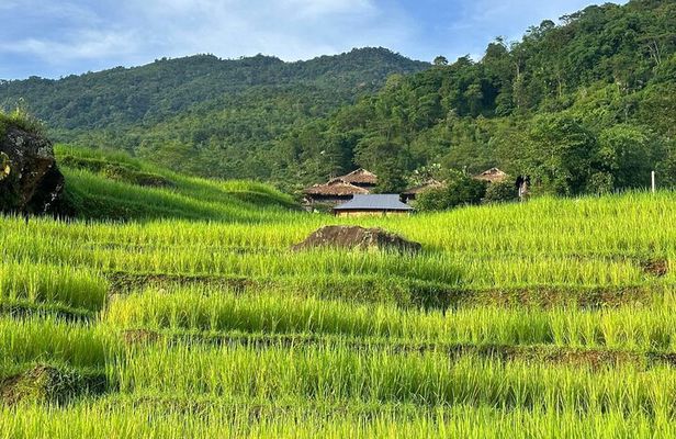 Pu Luong & Ninh Binh 3D2N:Explore Nature, Local Life &Hidden Gems