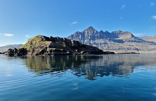 One Hour Sightseeing Boat Tour in Djúpivogur