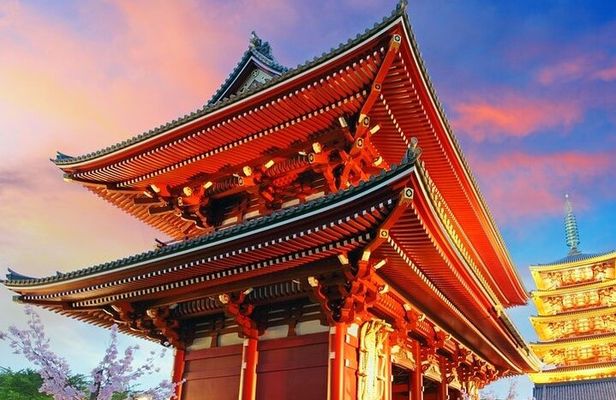 Tokyo Full Day Customize Private Tour with English Guide