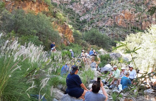 Hiking Ventana Canyon and Sabino Canyon