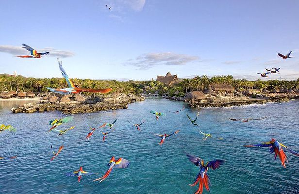 Xcaret Park Day Tour & Night Show with Transportation