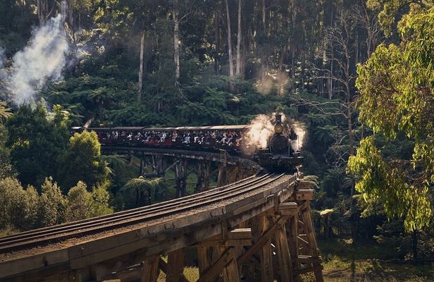 Puffing Billy Train&Healesville Sanctuary&Yarra Valley Wine Tour