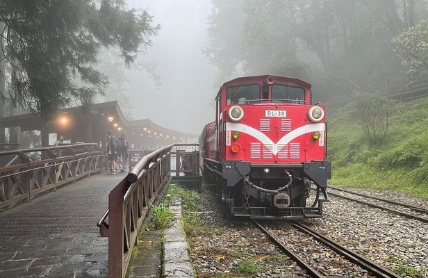 Alishan Day Tour from Chiayi (Incl. Park Entrance)