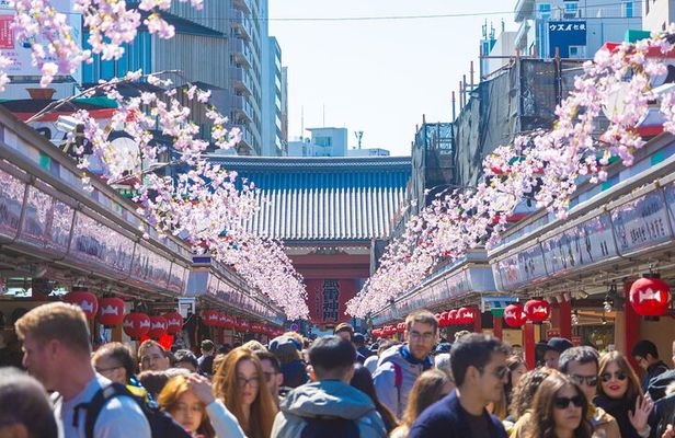 Private Asakusa tour to introduce you to some unusual places