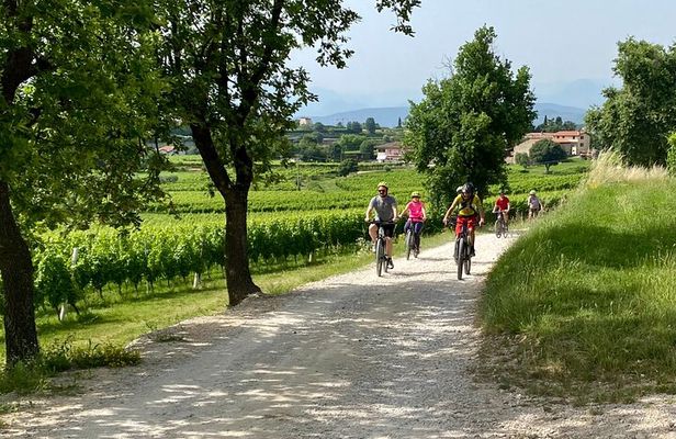 E Bike Tour with Olive Oil Tasting from San Felice del Benaco