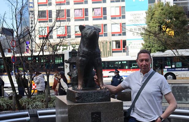 Tokyo Morning Highlights: Shibuya, Asakusa, Meiji Shrine & More!