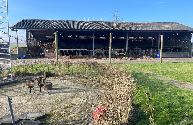 Rotterdam Cheese Farm Experience Kinderdijk Private Max 8 Persons
