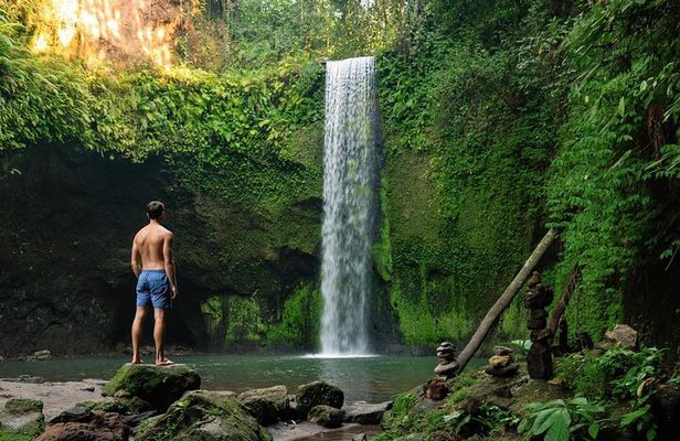 Bali: Best of Ubud Instagram highlights All-inclusive Package 