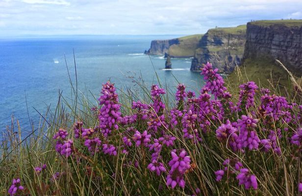 Private Day Tour Cliffs of Moher from Dublin