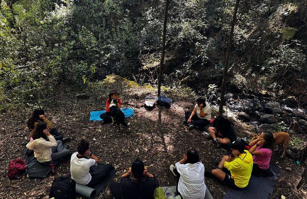 Immerse in the Nature: Deep Connection through Forest Bathing