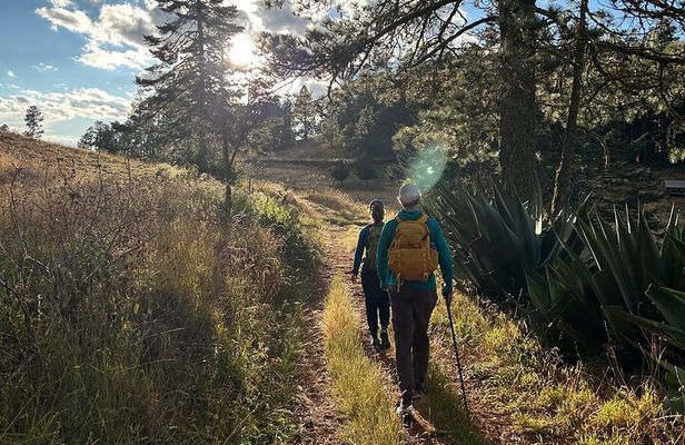 Hiking in the Sierra Norte of Oaxaca