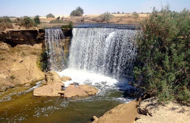 Fayoum full Day Tour from Cairo