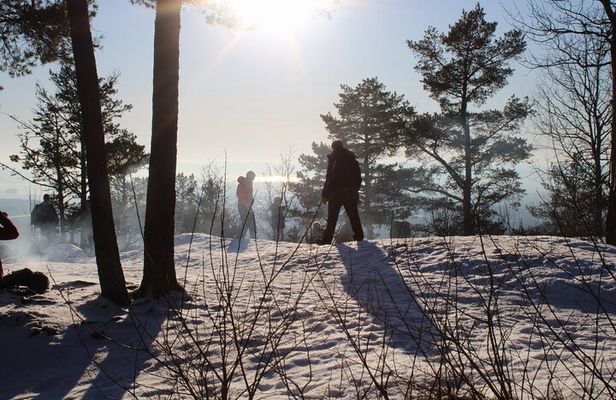 Panoramic Peaks and Oslo’s Best Fjord Views Hike