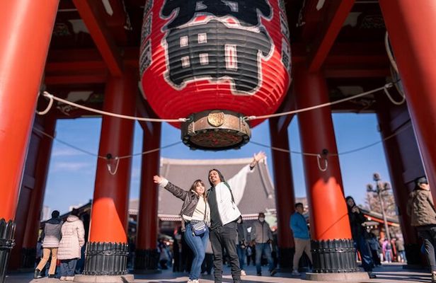 1 Day Tokyo Highlights Tour with a Private Car