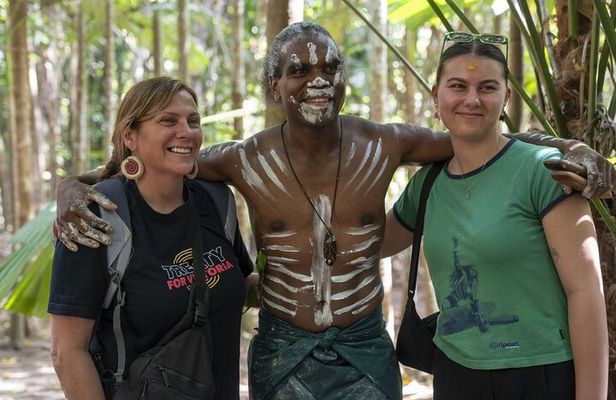 Cassowary Coast Waterfall Culture Tour