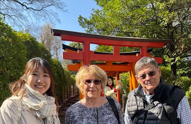 4 Hours Private Yanaka Town Tour