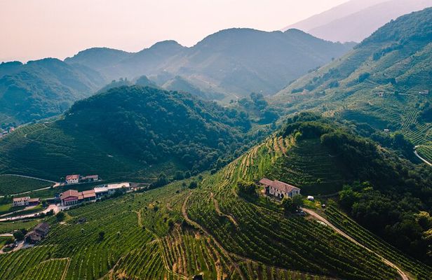 Experience Prosecco Hills with Wine and Food from Venice