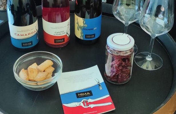 Tasting of three wines of our production