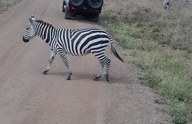Nairobi National Park Giraffe Center and Carnivore Restaurant