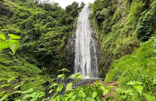 Materuni Waterfalls Hiking with Coffee Tour and Chemka Hotsprings