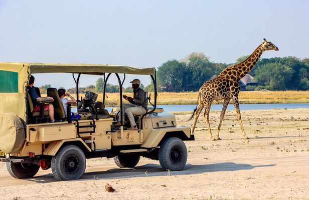 3 hrs Game drive in Chobe National Park (Leon Safaris Gold)