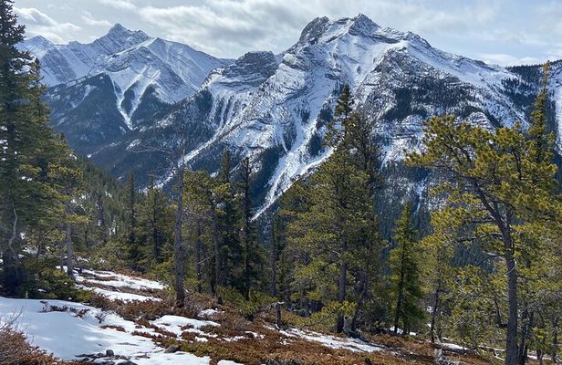 Flight of the Golden Eagle Interpretive Hike (Wasootch Trail)