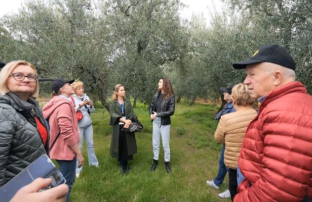 Olive Tree Tour, Visit Vallarella Oil Mill, Oil Tasting