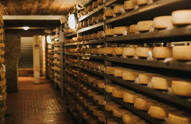 Cheese Experience: Tour & Tasting at Guffanti near Lake Maggiore