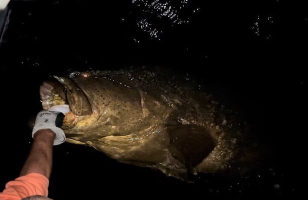 Sport Fishing with "Captain Extreme" from Ultimate Outdoors TV