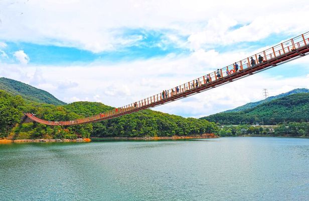 Ultimate Korea DMZ Tour from Seoul (JSA Museum & Bridge Crossing)