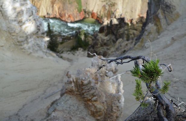 Grand Canyon of Yellowstone Hiking Adventure Full Day with Lunch