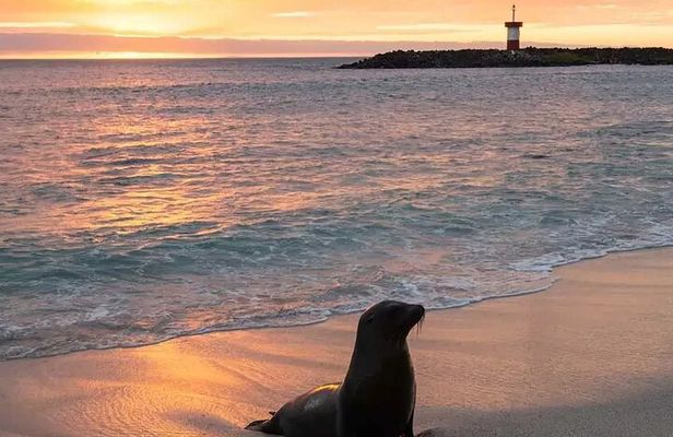 Galapagos the Enchanted Islands 5 Days Private Adventure