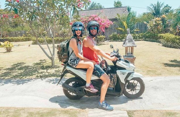Visit Negombo by Scooty - All Inclusive